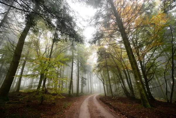Photo décorative du site, paysage de la Nièvre et du Morvan