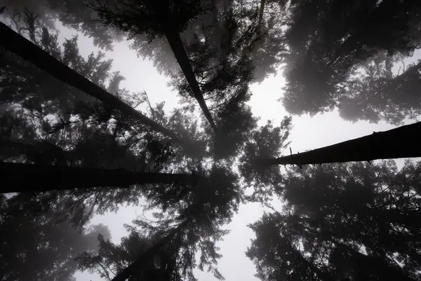 Photo décorative du site, paysage de la Nièvre et du Morvan